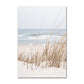 Coastal Turtle Canvas Art