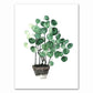Tropical Plant Canvas Art