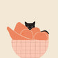 Lazy Cat Canvas Art