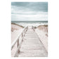 Ocean Turtle Canvas Art