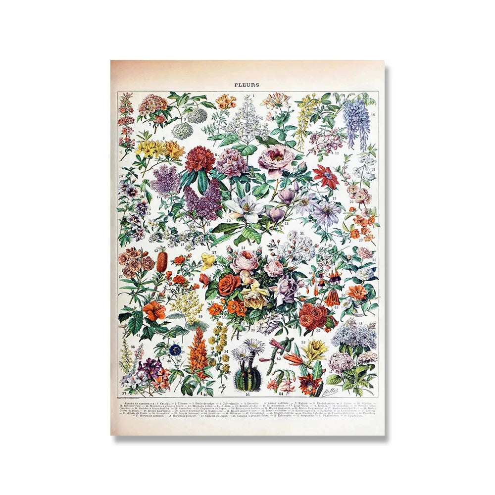 Vintage Adolphe Millot Encyclopedia Posters and Prints Botanical Mushrooms Herbs Flowers Insect Canvas Paintings Wall Art Decor