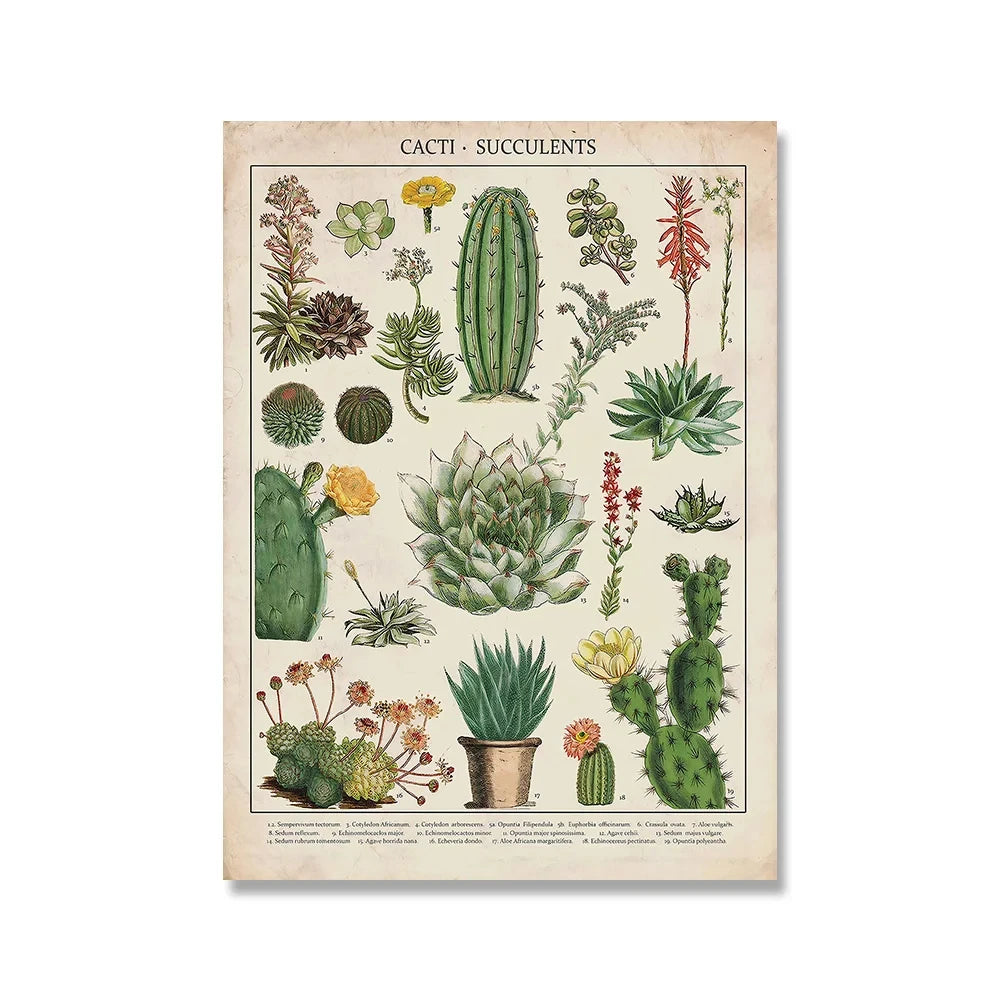 Vintage Adolphe Millot Encyclopedia Posters and Prints Botanical Mushrooms Herbs Flowers Insect Canvas Paintings Wall Art Decor