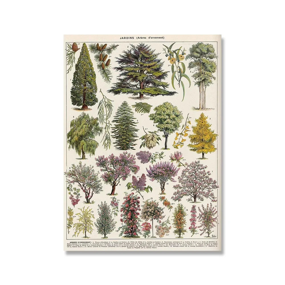 Vintage Adolphe Millot Encyclopedia Posters and Prints Botanical Mushrooms Herbs Flowers Insect Canvas Paintings Wall Art Decor