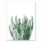 Tropical Plant Canvas Art