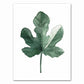 Tropical Plant Canvas Art