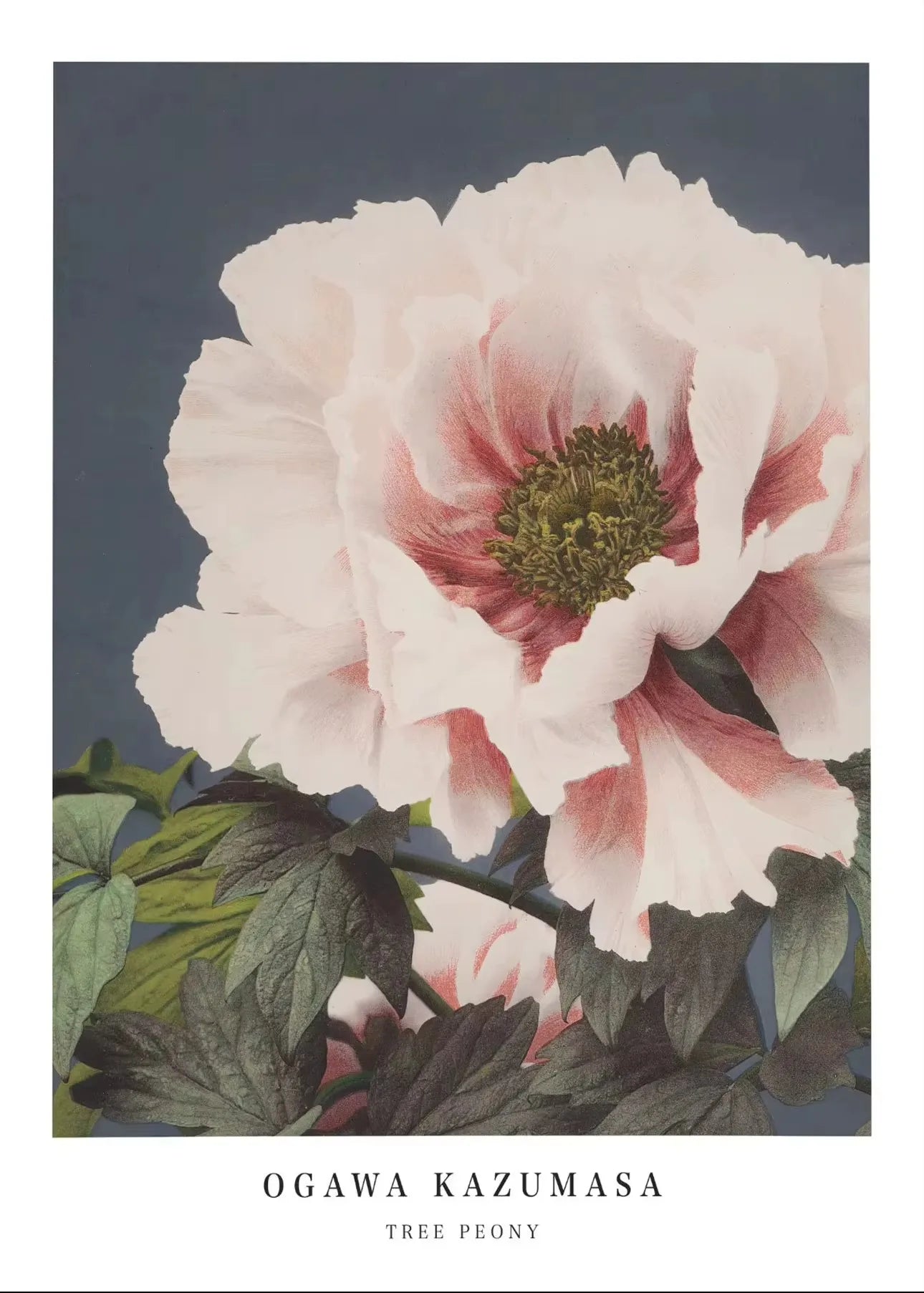 Cherry Blossom Canvas Art