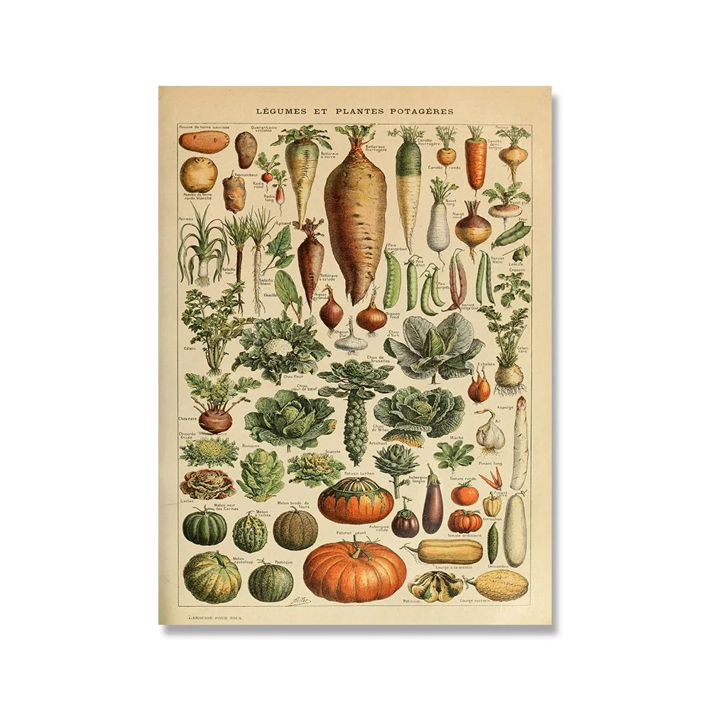 Vintage Adolphe Millot Encyclopedia Posters and Prints Botanical Mushrooms Herbs Flowers Insect Canvas Paintings Wall Art Decor
